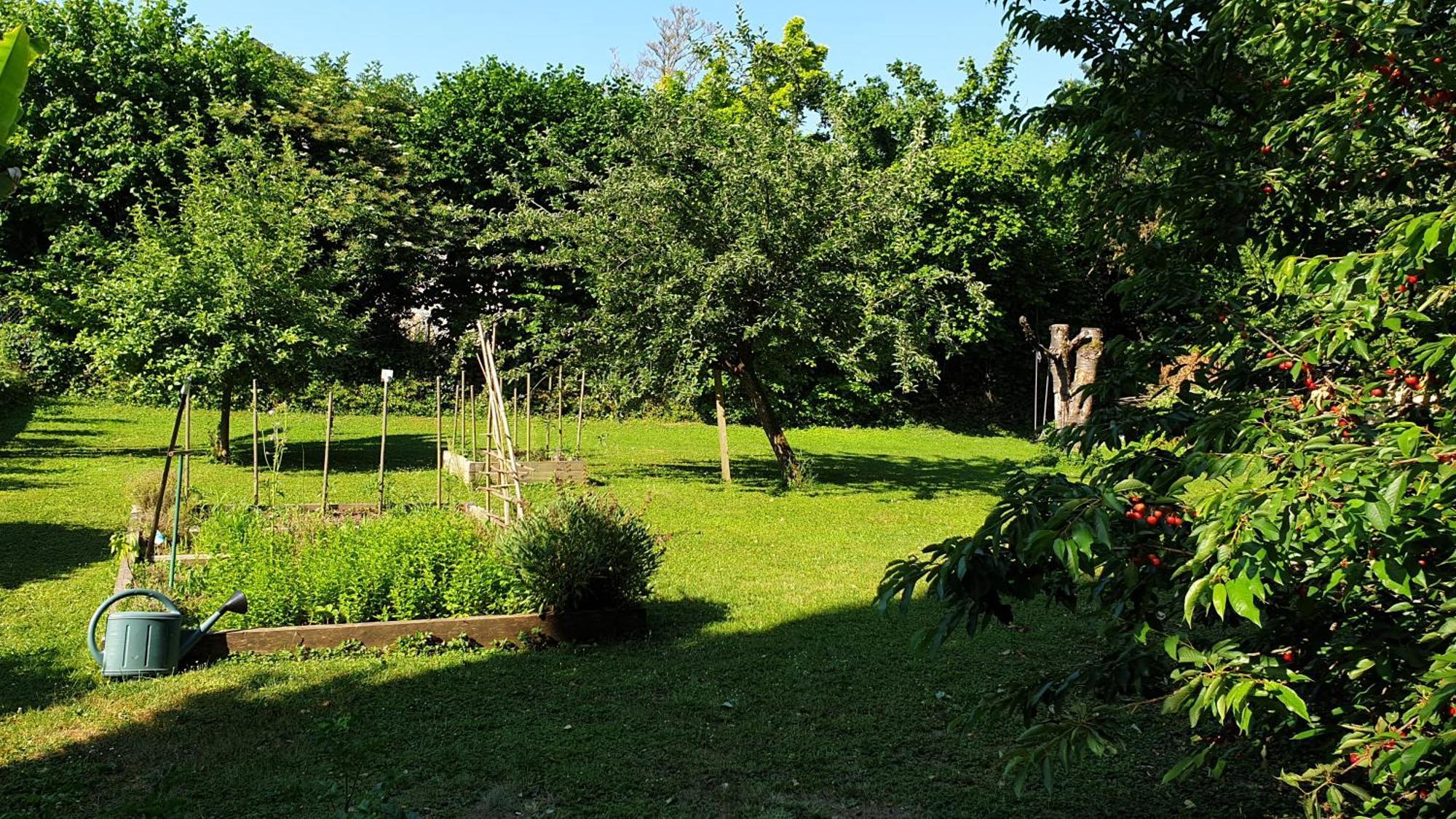 Gite 5 Personnes Fleurville Pokoj fotografie